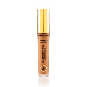 
                  
                    PARFAITE FIX - CONCEALER
                  
                