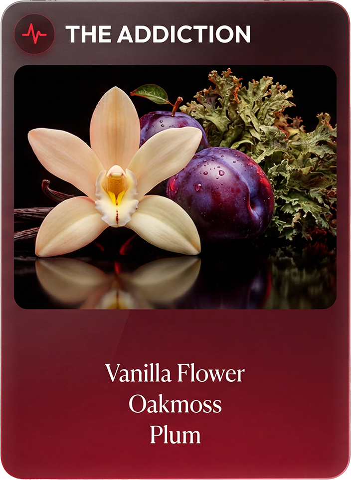 The Addiction notes: Vanilla Flower, Oakmoss, Plum